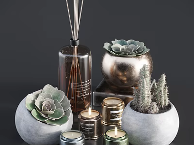 Succulent And Cactus Potted Plants In Concrete Metal Pots With Decorative Candle Diffuser Home Decor 3d model