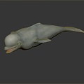 Modern Beluga Dolphin Dolphin 3d model