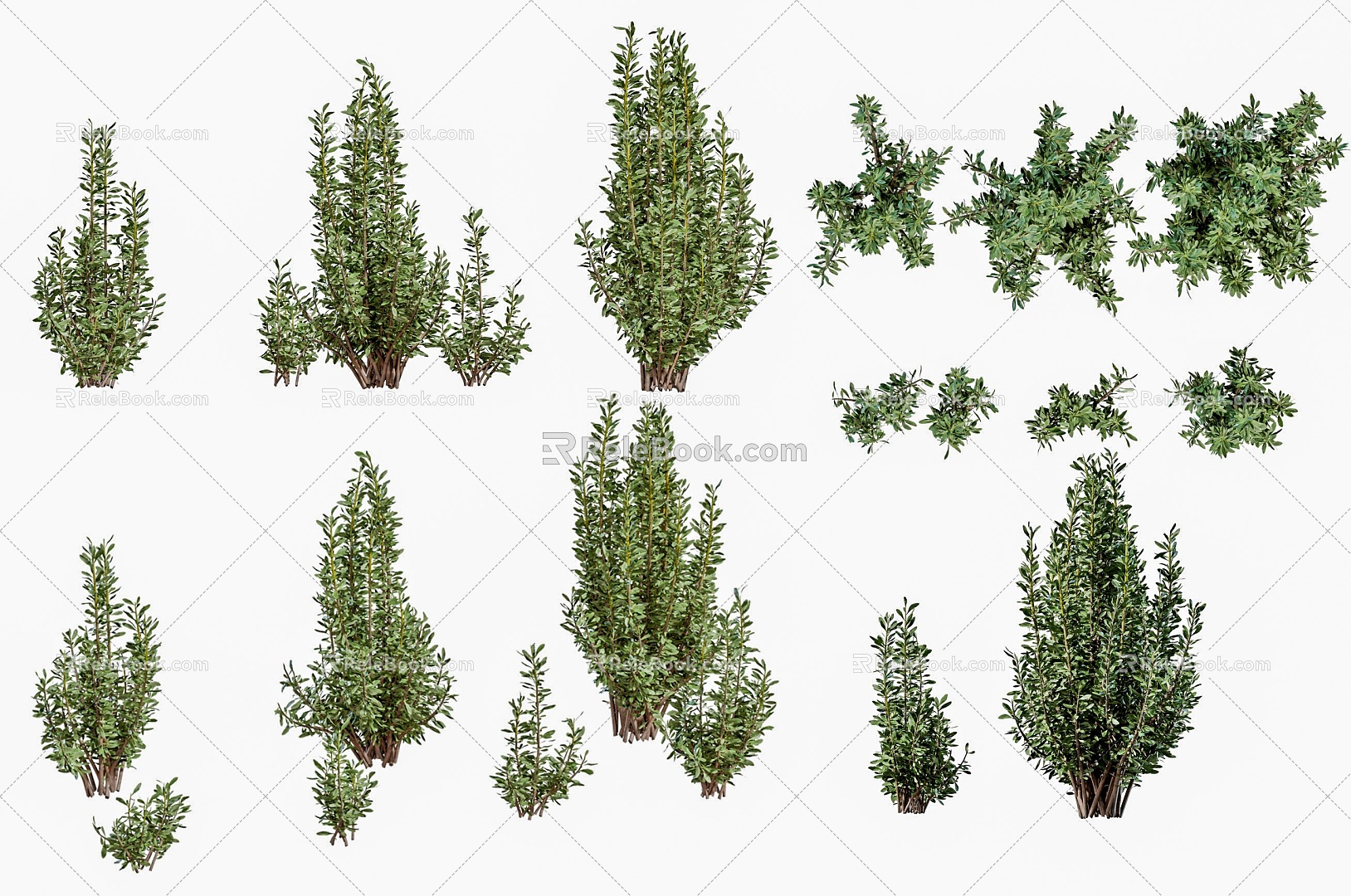 modern shrub green plant combination outdoor courtyard garden shrub plant artificial pruning shrub green plant evergreen shrub plant model