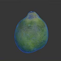 Fresh Whole Green Coconut Tropical Fruit With Yellow Top On Gray Background
