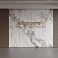 Elegant Marble Feature Wall With Natural Veins In Modern Interior Design