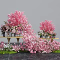 Pink Cherry Blossom Floral Display with Flower Bouquets Shelves and Green Grass