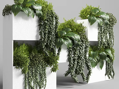 Modern Green Plant Flower Box Potted Plant 3d model
