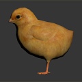 Modern Chick Chicken Cartoon Chick Cock 3d model