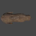 Ancient Fossil Skull With Brown Cracked Surface On Blue Background