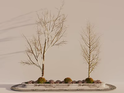Two Leafless Arbor Trees with Slender Trunks in Circular Planter and Small Shrubs Light Background 3d model