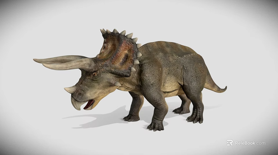 Realistic Triceratops Dinosaur 3D Model in Standing Pose with Detailed Features 3d model 
