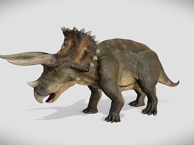 Realistic Triceratops Dinosaur 3D Model in Standing Pose with Detailed Features 3d model