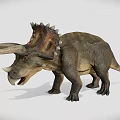 Realistic Triceratops Dinosaur 3D Model in Standing Pose with Detailed Features