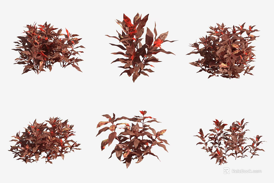 Decorative Aquatic Plants With Red And Brown Leaves In Various Shapes 3d model 