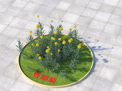 Snow Chrysanthemum With Yellow Flowers And Green Leaves In Circular Grass Bed On Stone Pavement 3d model