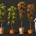Decorative Bonsai Potted Plants With Diverse Leaf Colors In Terracotta Pots And Scale Figure