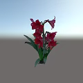 Vibrant Red Amaryllis Flowers With Green Leaves On Blue Background