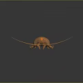 Orange Segmented Marine Creature with Long Antennae and Multiple Legs on Dark Background Showing Reflection