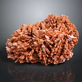 Natural Stone And Wood Decorative Piece With Intricate Texture And Warm Tones