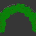Circular Shaped Ivy Shrub with 150cm Radius and Lush Green Foliage
