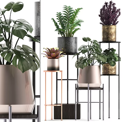 Potted Bonsai Plants With Various Green Plants In Metallic Pots And Metal Stands 3d model