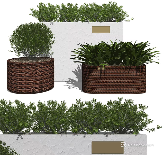 Bonsai Potted Plants In Woven Brown Pots With Various Green Foliage And White Backdrop 3d model 