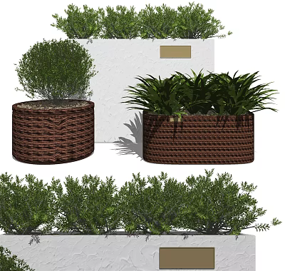 Bonsai Potted Plants In Woven Brown Pots With Various Green Foliage And White Backdrop 3d model