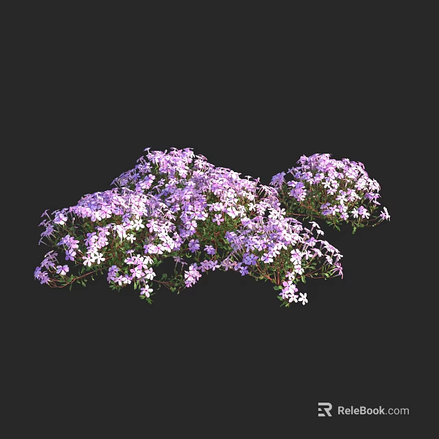 Beautiful Purple and White Small Flowers Growing in Dense Clusters on Black Background 3d model 
