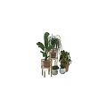 Decorative Ornament Set With Assorted Green Plants And Woven Ceramic Flower Pots
