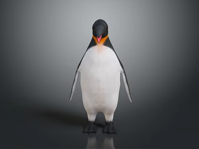 Adorable Penguin With Black White Plumage And Orange Beak In Standing Posture On Gray Background 3d model