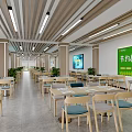 Bright Restaurant Interior With Wooden Ceiling Lighting Green Plants And Blue Chairs