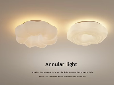 Annular Ceiling Lights With Modern Design Soft Glow For Home Interior 3d model