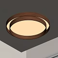 Modern Middle Aged Ceiling Lamp 3d model