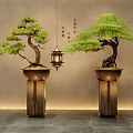 Two Bonsai Trees On Wooden Pedestals With Hanging Lantern And Neutral Wall