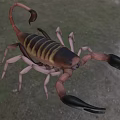 Scorpion Reptile With Brown And Yellow Striped Body Large Black Claws Curved Tail In Grassland