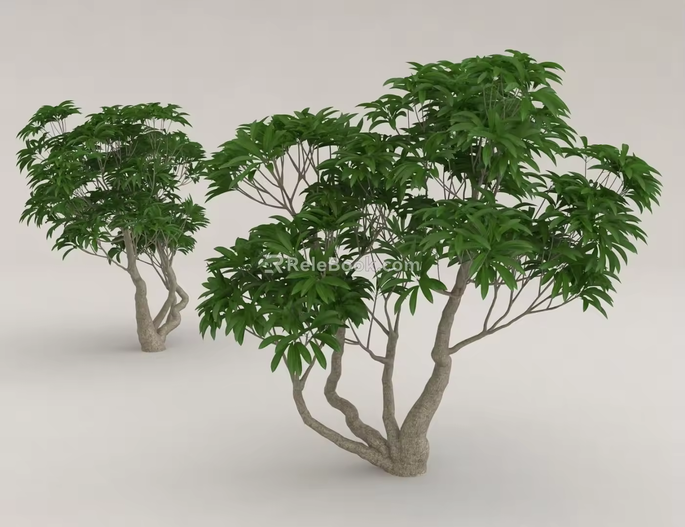green trees 3d model
