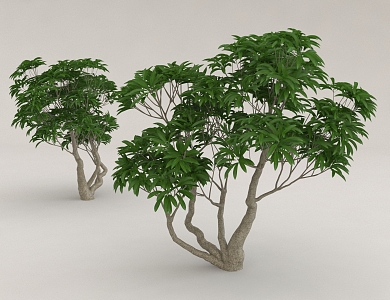 green trees 3d model