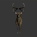 Decorative Deer Sculpture With Intricate Antlers And Striped Wooden Design