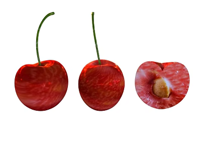 Ripe Cherry Fruits Showing Whole and Halved with Visible Seed in Close Up View 3d model