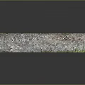 Detailed Elongated Terrain Model With Green Gray Textures Vegetation And Surface Covering