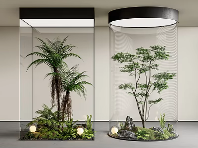 Glass Terrariums With Ferns Small Trees Stones And Lighting For Indoor Decor 3d model