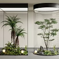 Glass Terrariums With Ferns Small Trees Stones And Lighting For Indoor Decor