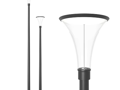 Modern Outdoor Lights With Black Pole Transparent Shade And Black Top Rim Design 3d model