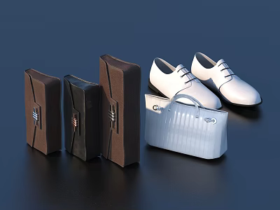 White Lace Up Shoes With Brown Black Shoe Boxes And Silver Handbag On Dark Background 3d model