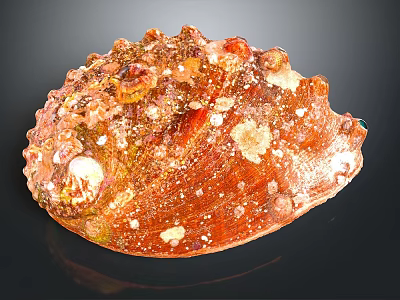 Shiny Aquatic Animal Shell With Rough Brownish Red Texture Protrusions And White Spots 3d model