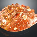 Shiny Aquatic Animal Shell With Rough Brownish Red Texture Protrusions And White Spots