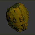 Fresh Yellow Green Bumpy Pumpkin For Healthy Cooking And Nutritious Recipes