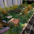 Residential Garden Landscape with Diverse Trees Lawns Playground and Paths Between High Rise Apartments