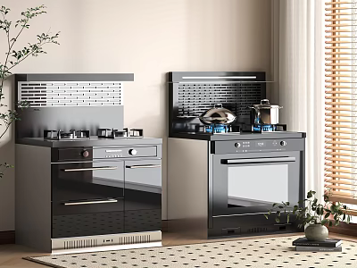 Modern Kitchen Appliances With Black Stainless Steel Stove Oven And Cabinets 3d model