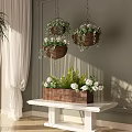 Indoor Hanging Basket Plants Decor with White Flowers Green Leaves and Natural Light Curtains