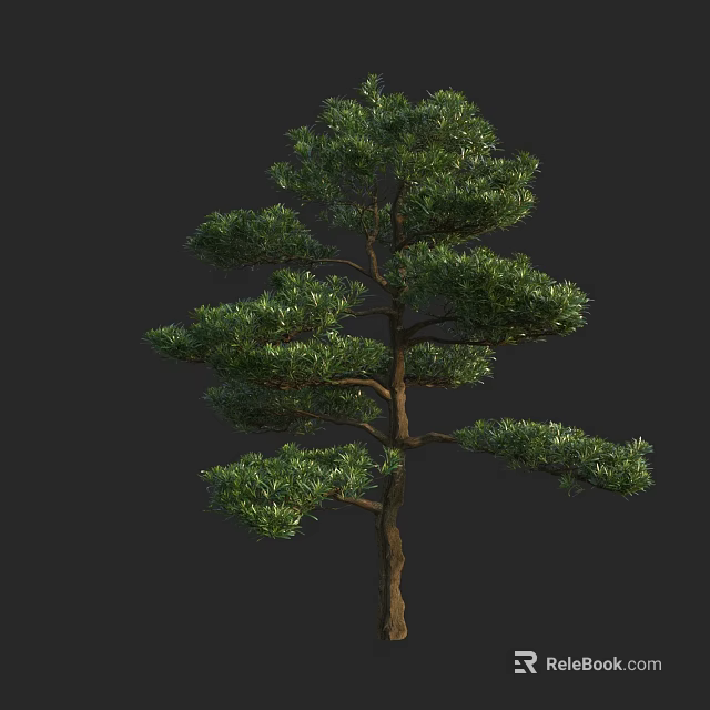 Detailed Pine Tree With Green Foliage And Branches Isolated On Dark Background 3d model 
