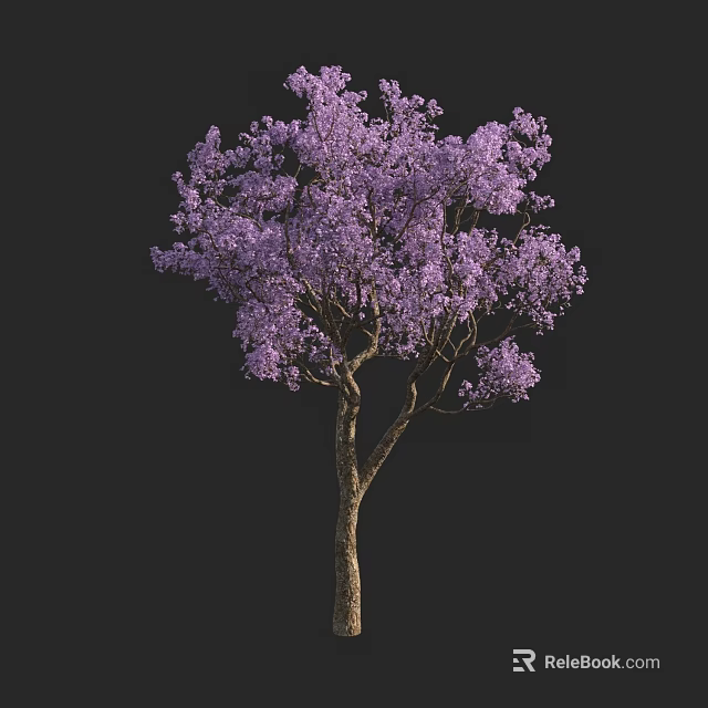 Arbor With Vibrant Purple Flowers And Brown Trunk Against Black Background 3d model 