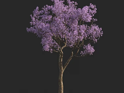 Arbor With Vibrant Purple Flowers And Brown Trunk Against Black Background 3d model