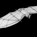 Flying Bat With Spread Wings And Detailed Wing Texture On Black Background 3d model